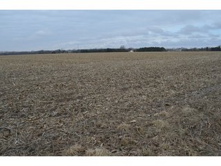 Property photo 30 - 173 +/- Acres Offered in 3 Tracts - Ohio Farmland